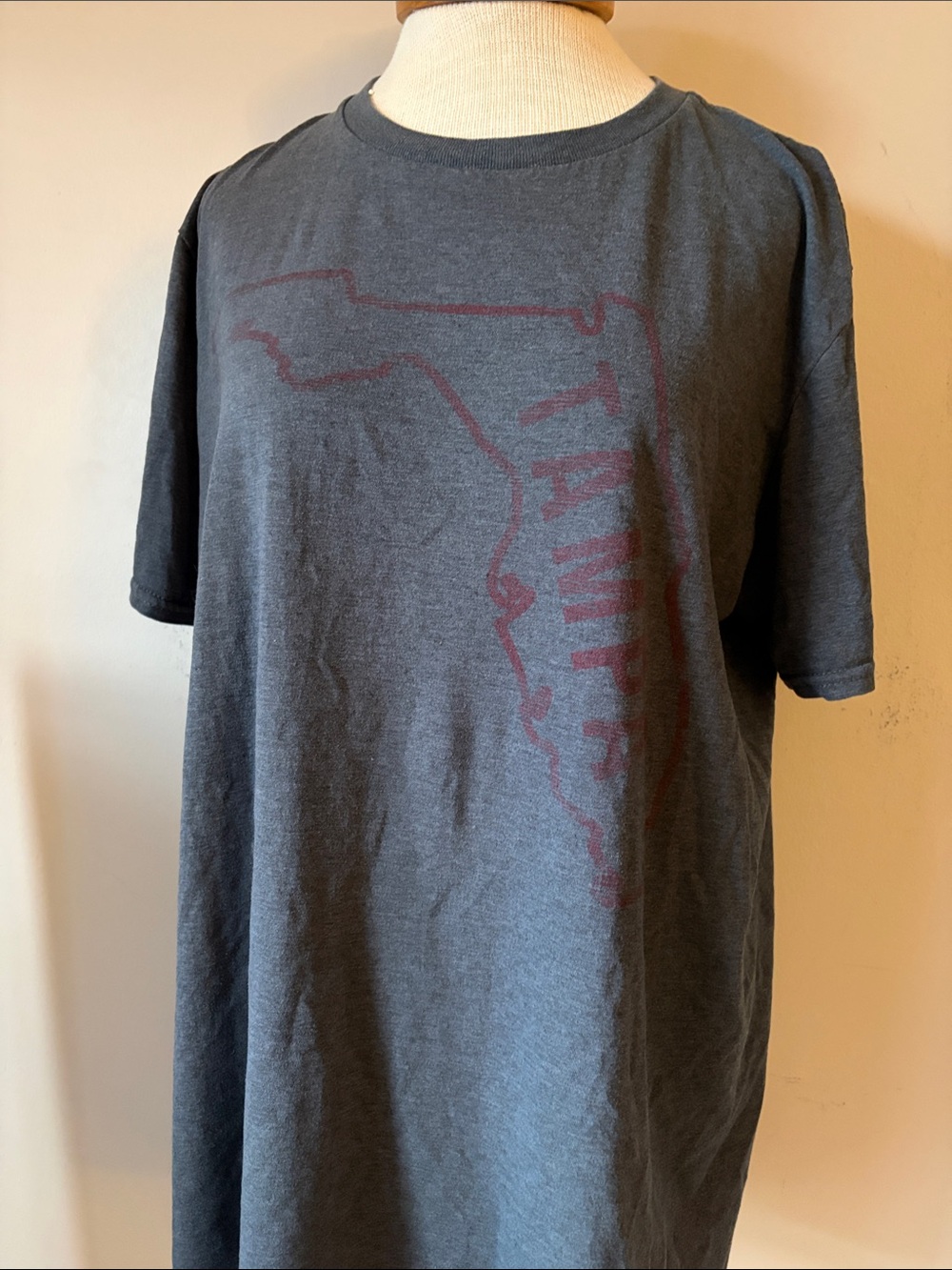 Men's Charcoal Gray Graphic T-Shirt - Tampa Florida Outline